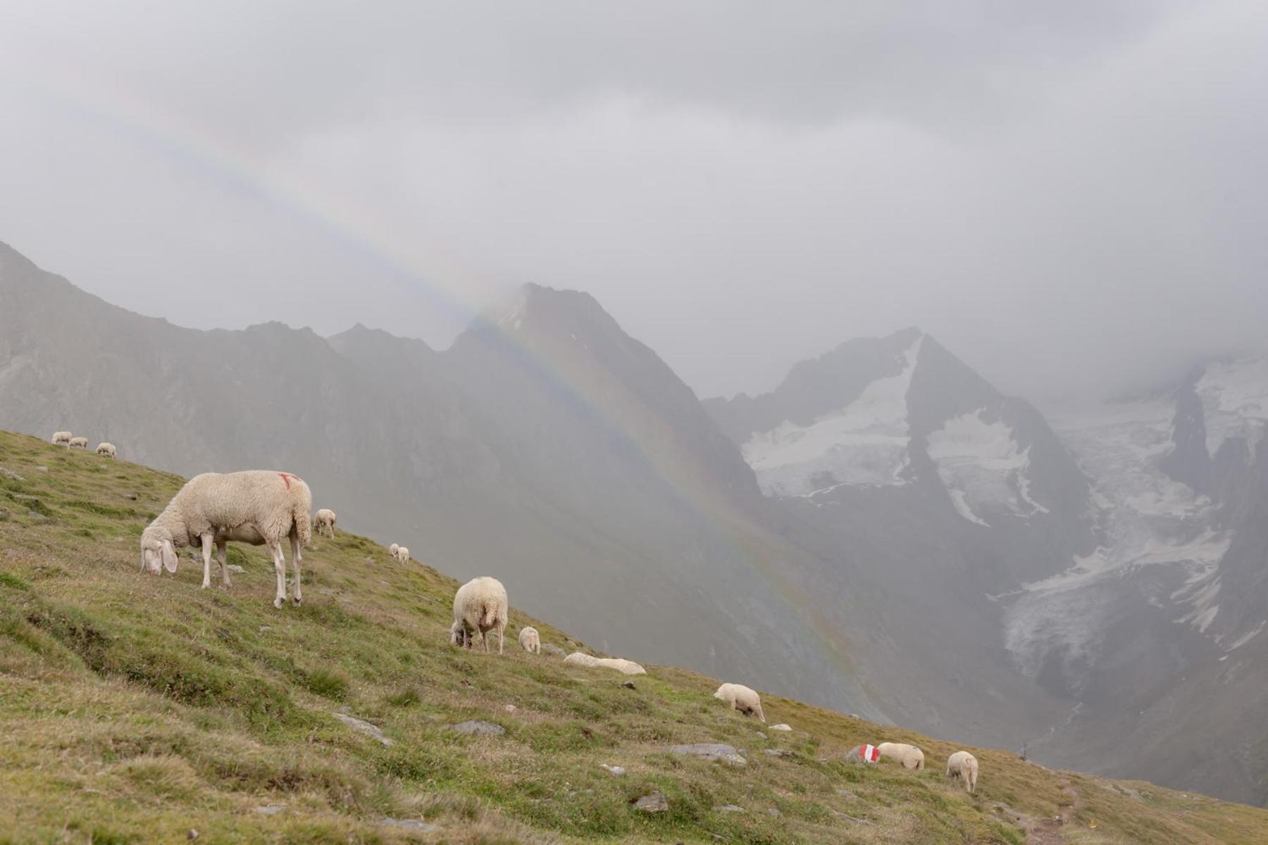 Hotel Olympia Obergurgl Dış mekan fotoğraf
